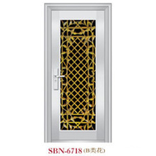 Stainless Steel Door for Outside Sunshine (SBN-6718)